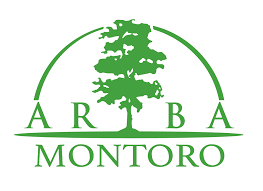 Talleres de sensibilización medioambiental